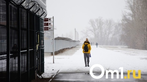 Доставайте шапки и варежки: стало известно, на какой период в Омск вернулись 25-градусные морозы
