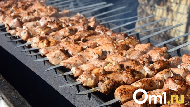 Эксперты нашли в омском мясе опасные палочковидные бактерии