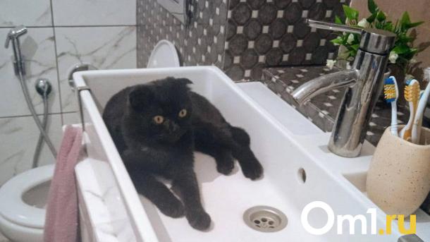 В Старом Кировске Омска отключат воду на целый день