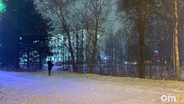 Новосибирцев во второй половине недели ждёт сильное похолодание