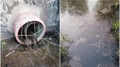 Жители Новосибирска обнаружили слив нефтепродуктов в озеро