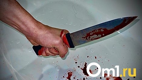 Уголовное дело о двойном убийстве возбудили в Омской области