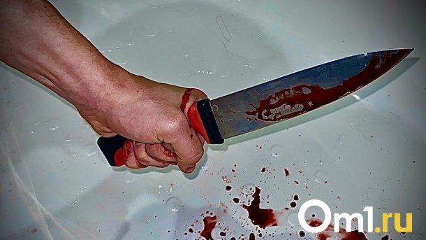 Уголовное дело о двойном убийстве возбудили в Омской области