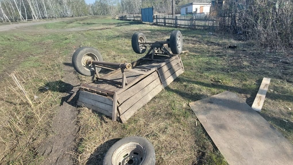 В Омской области ребёнок опрокинул телегу и попал в больницу