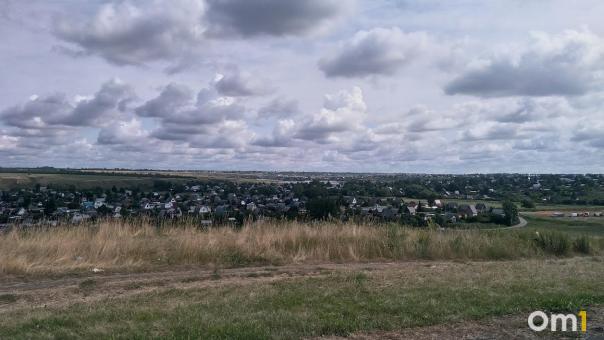 В 2022 году омичи проведут отпуск на даче