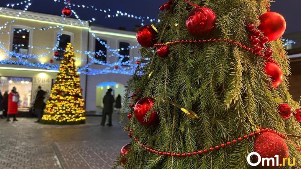 Перед Новым годом в Омске резко похолодает