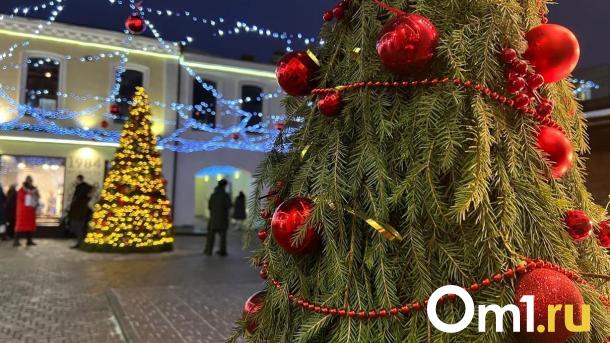 Перед Новым годом в Омске резко похолодает