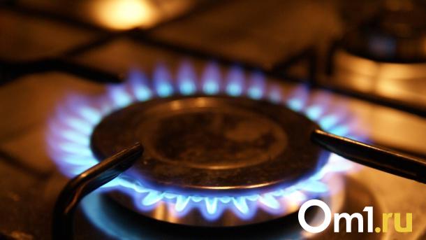 В Омской области нашли девять бесхозяйных газопроводов