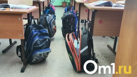 Новосибирским первоклассникам начали продлевать учебный год из-за карантина