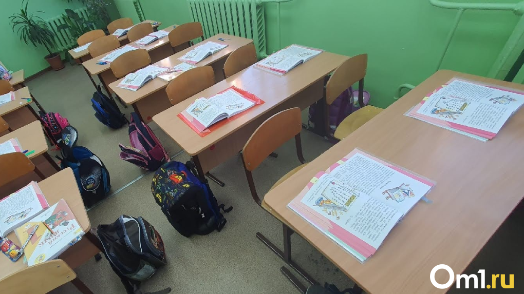 В Новосибирске официально подтвердили отставку директора гимназии №10 Шойдиной