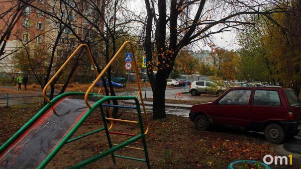 Осень возвращается: в Омске растает снег и потеплеет до +8