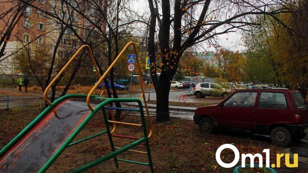 Осень возвращается: в Омске растает снег и потеплеет до +8