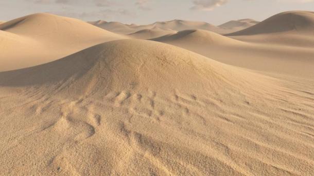 Мэрия проиграла суд: пескобазы на Оби останутся до 2030 года в Новосибирске