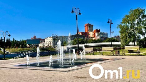 Мэр Шелест поручил патрулировать омские улицы в поисках вандалов