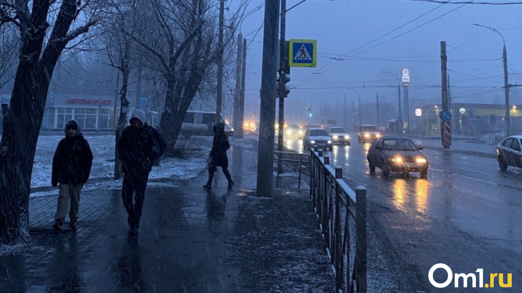Регионы России заметает снегом. Придёт ли он в Омск?