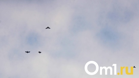 В небе над Марьяновкой в Омской области заметили необычное явление