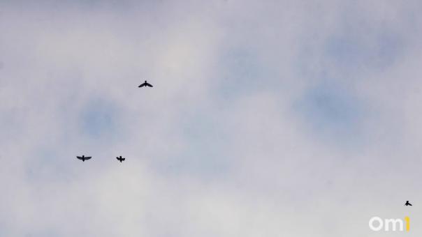 В небе над Марьяновкой в Омской области заметили необычное явление