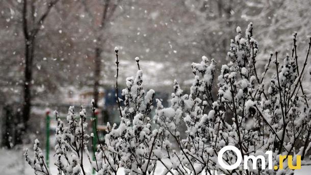 Синоптики рассказали о погоде в Омской области в конце февраля
