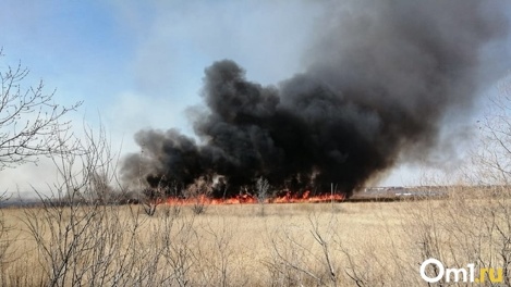1,1 млн рублей штрафов заплатили новосибирцы за нарушение пожарной безопасности