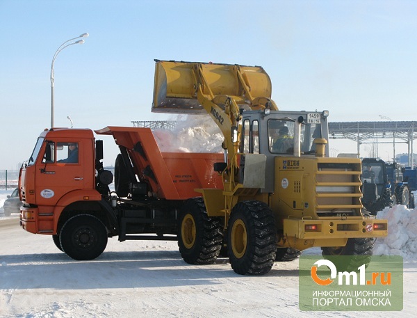 Омская мэрия удивлена количеством выпавшего снега в городе