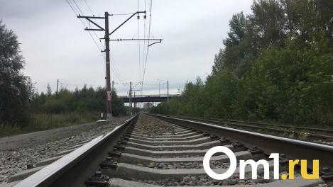 Новосибирец попал под поезд возле Обского моря и выжил