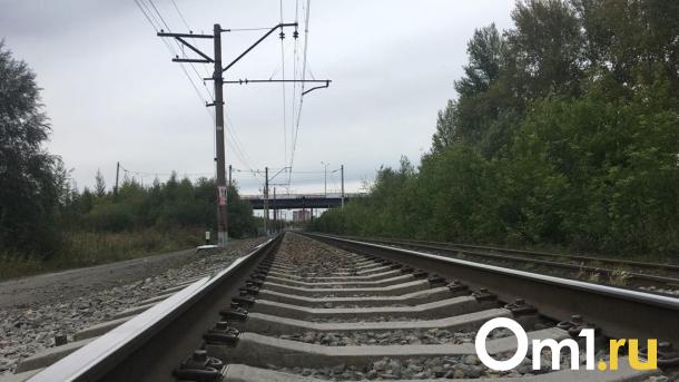 Новосибирец попал под поезд возле Обского моря и выжил