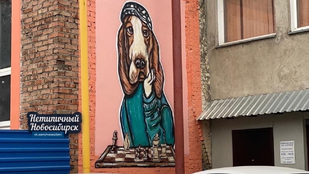 Влюблённый пёс-шахматист: необычное граффити восхитило новосибирцев