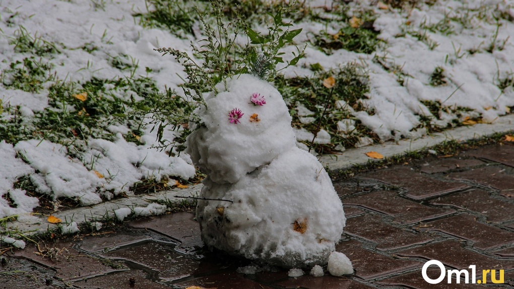 Снежный человек: омичи массово делятся кадрами первых снеговиков - ФОТО