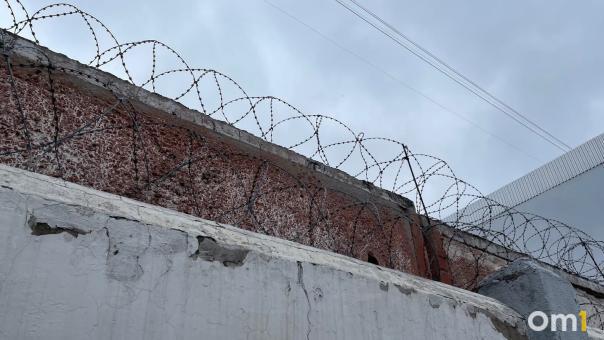 В следкоме рассказали подробности нападения на женщину у дачного посёлка в Омске