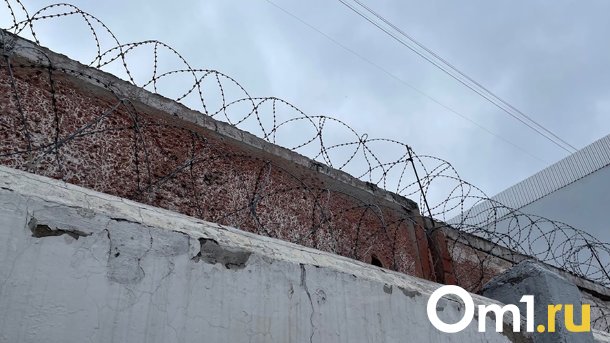 В следкоме рассказали подробности нападения на женщину у дачного посёлка в Омске