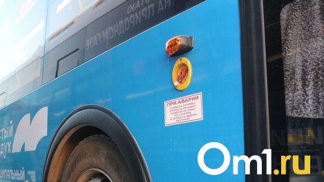 Под Омском автобус из Чернолучья попал в ДТП со смертельным исходом