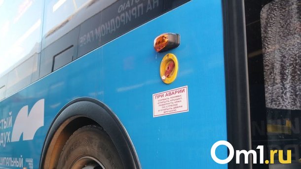 Под Омском автобус из Чернолучья попал в ДТП со смертельным исходом