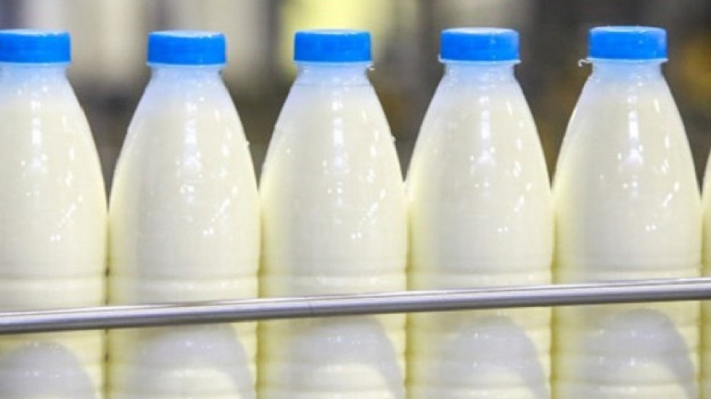 Фантомы молочного производства выявлены в Новосибирской области