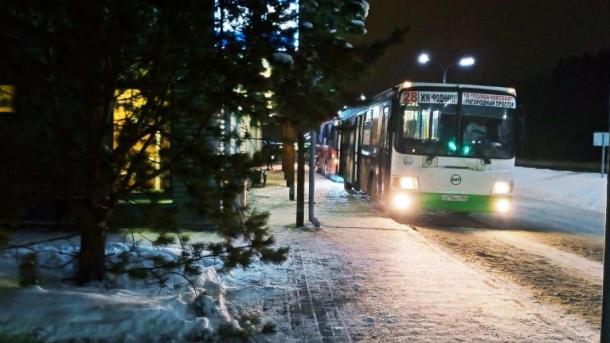 В Кузбассе вернут бесплатные проездные для отличников учёбы