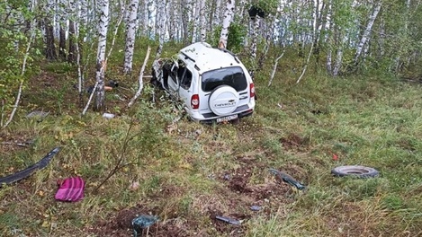 В Омской области пенсионер на иномарке съехал в кювет и врезался в берёзу