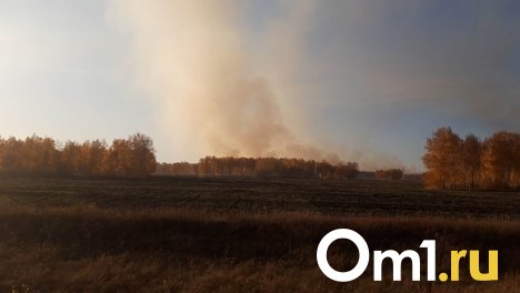 В Омской области с 10 апреля введён пожароопасный сезон