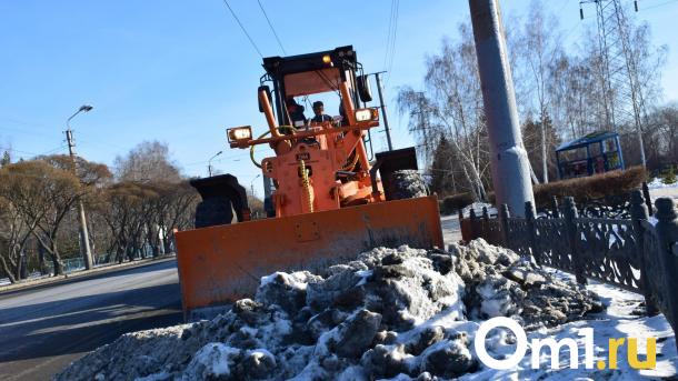 Депутаты предложили спасти Омск от снега с помощью гастарбайтеров