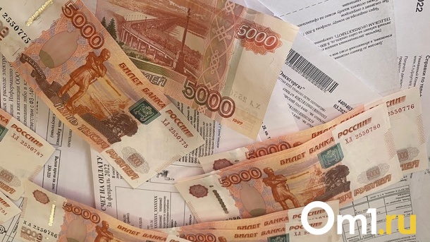 В налоговой назвали, сколько омичей зарабатывают больше пяти миллионов в год