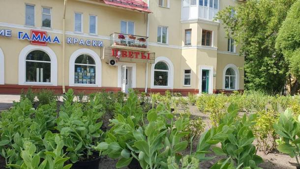 На улице Красный Путь появится многолетний цветник из роз и гортензий