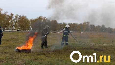 Новосибирская область возглавила топ пожароопасных регионов Сибири
