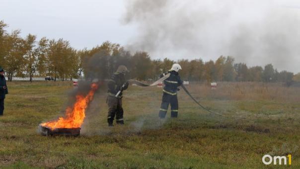 Новосибирская область возглавила топ пожароопасных регионов Сибири