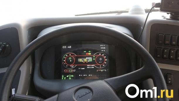 В Омске из-за водителя автобуса женщина вынуждена передвигаться в инвалидном кресле