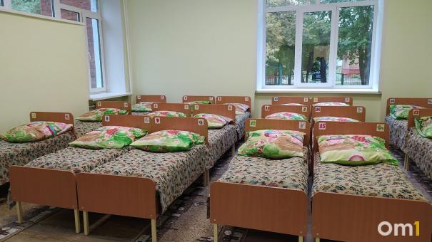 Заболеваемость педикулёзом в Омской области остаётся высоким