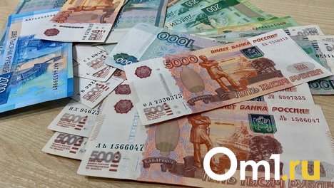 От 33,5 до 81 тысячи рублей: в Омскстате назвали средние зарплаты педагогов и медработников