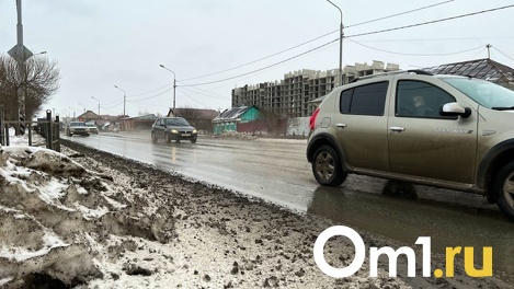 Мокрый снег и дождь: потепление до +15 градусов ждёт новосибирцев в ближайшие дни