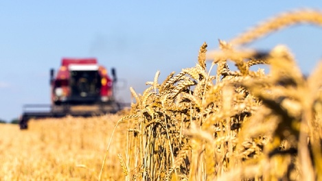 В Омском районе зафиксирован наибольший процент заготовки сена