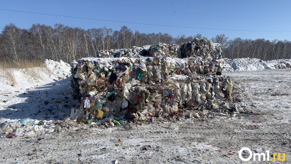 Крах мусорного оператора? Сможет ли «Экология-Новосибирск» вывозить отходы при полуторамиллиардном долге