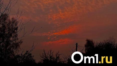 Омичам рассказали, как не пропустить метеорный поток Персеиды