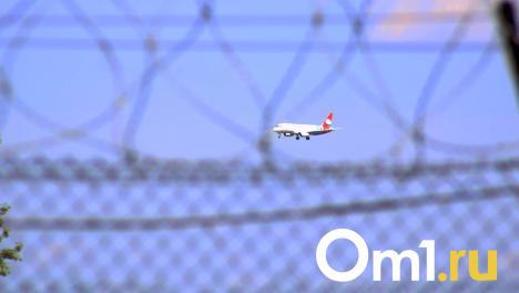 Самолёт из Москвы в Омск не смог взлететь с первой попытки из-за птицы