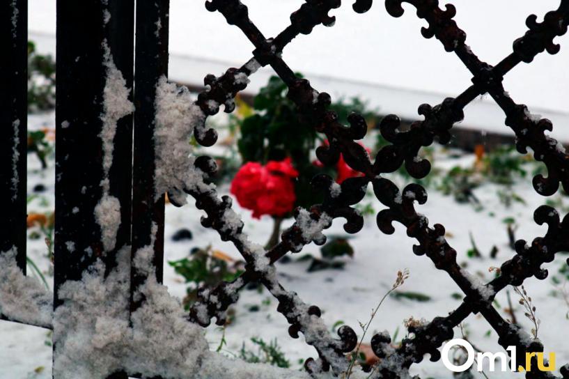 Изображение фоторепортажа